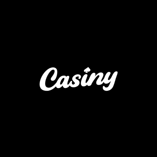 Everything You Need to Know About Casiny Login 1